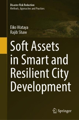 Book cover for Soft Assets in Smart and Resilient City Development