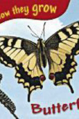 Cover of Butterfly with Sticker