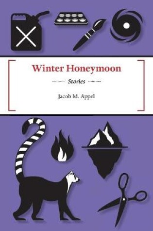 Cover of Winter Honeymoon