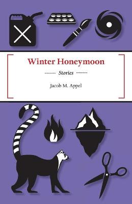 Book cover for Winter Honeymoon