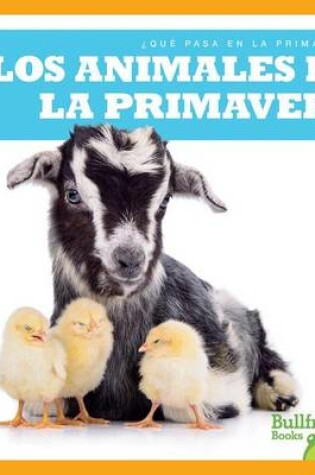 Cover of Los Animales En La Primavera (Animals in Spring)