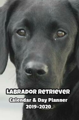 Cover of Labrador Retriever Calendar & Day Planner 2019-2020