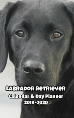 Book cover for Labrador Retriever Calendar & Day Planner 2019-2020