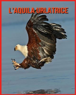 Book cover for L'aquila Urlatrice