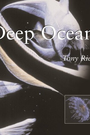 Cover of Deep Ocean