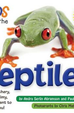 Cover of Kids Meet the Reptiles