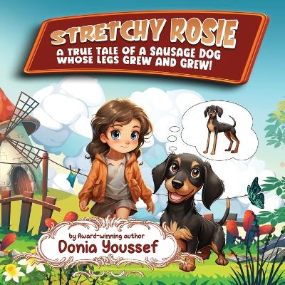 Book cover for Stretchy Rosie
