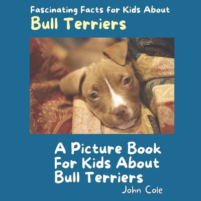 Book cover for A Picture Book for Kids About Bull Terriers