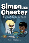 Book cover for Super Sleepover