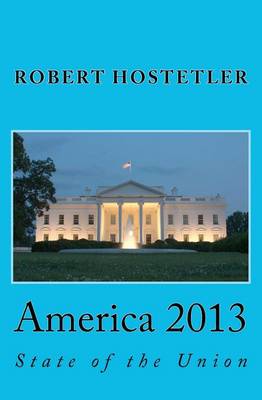 Book cover for America 2013