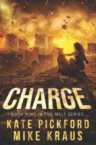 Cover of CHARGE - MELT Book 9