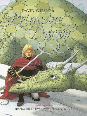 Book cover for La Princesa Dragon