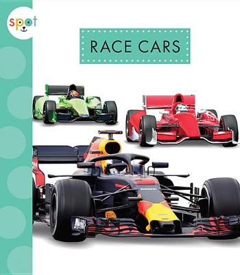 Cover of Race Cars