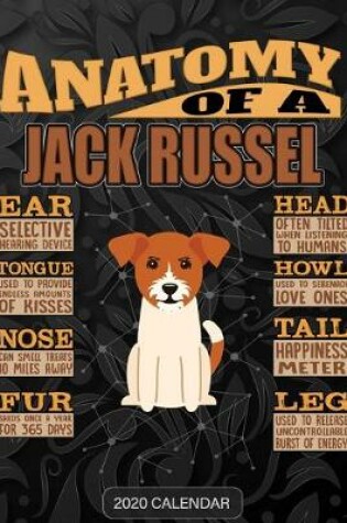 Cover of Anatomy Of A Jack Russel Terrier
