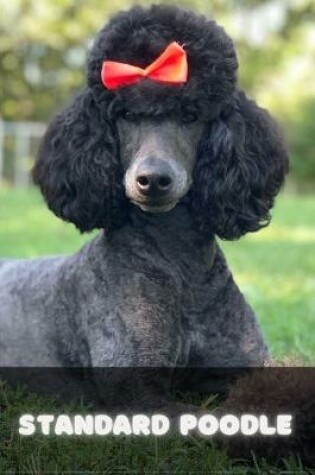 Cover of Standard Poodle