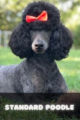 Book cover for Standard Poodle