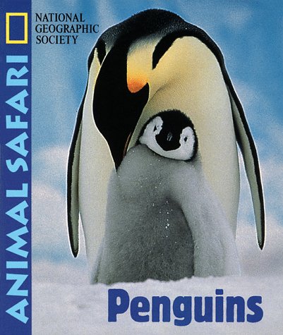 Book cover for Animal Safari