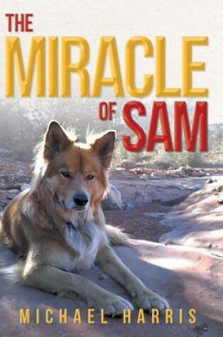 Cover of The Miracle of Sam