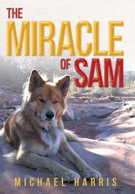 Book cover for The Miracle of Sam