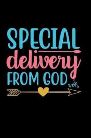 Cover of Special Delivery From God