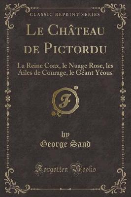 Book cover for Le Château de Pictordu