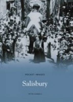 Book cover for Salisbury