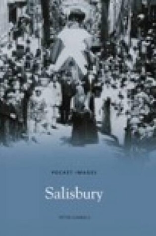 Cover of Salisbury