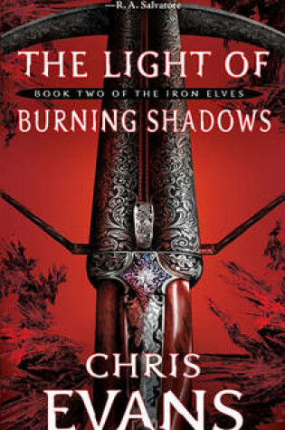 Cover of The Light of Burning Shadows