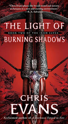 Book cover for The Light of Burning Shadows