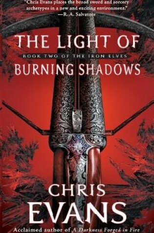 Cover of The Light of Burning Shadows