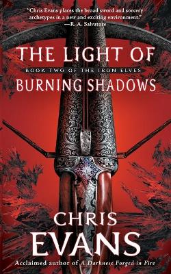 Cover of The Light of Burning Shadows