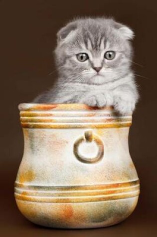 Cover of Kitten in a Vase