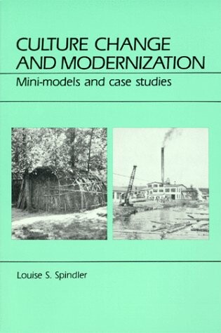 Cover of Culture Change and Modernization