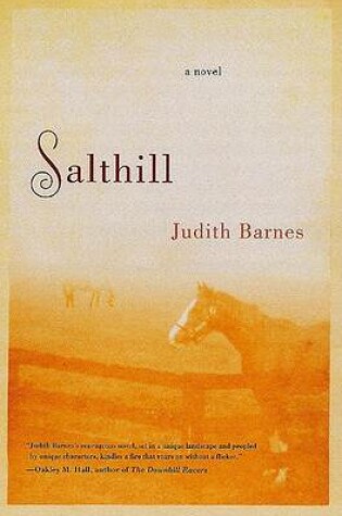 Cover of Salthill / Judith Barnes.