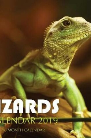 Cover of Lizards Calendar 2019