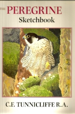 Cover of The Peregrine Sketchbook