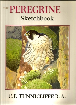 Book cover for The Peregrine Sketchbook