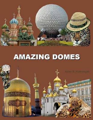 Book cover for Amazing Domes