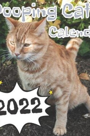 Cover of Pooping Cats Calendar