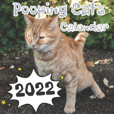 Book cover for Pooping Cats Calendar