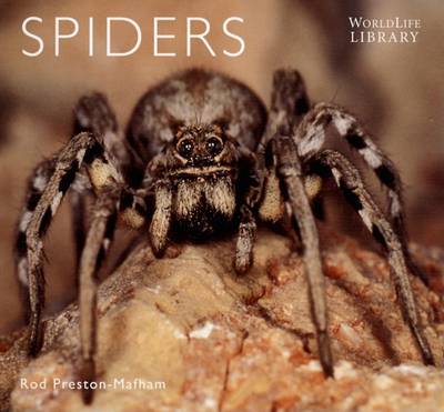 Cover of Spiders