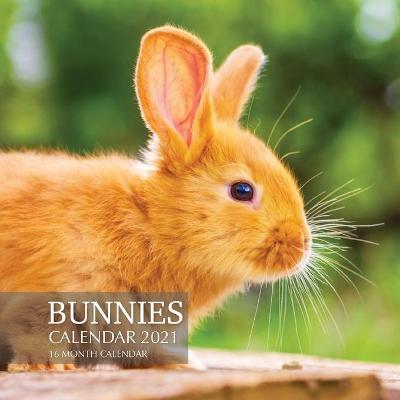 Book cover for Bunnies Calendar 2021