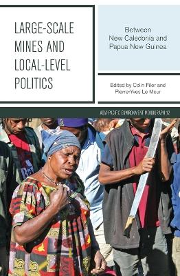 Book cover for Large-scale Mines and Local-level Politics