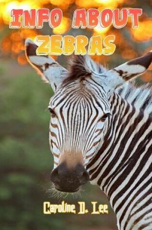 Cover of Info About Zebras