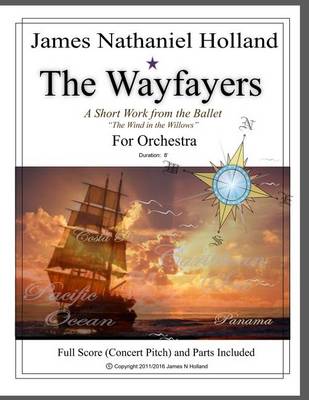 Book cover for The Wayfayers