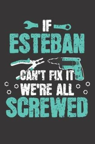 Cover of If ESTEBAN Can't Fix It