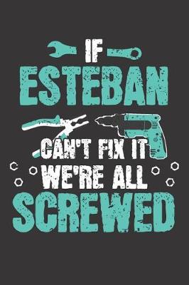 Book cover for If ESTEBAN Can't Fix It