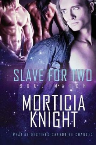 Cover of Slave for Two
