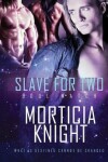 Book cover for Slave for Two