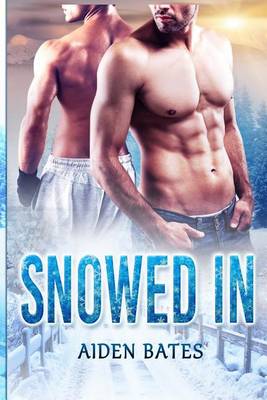 Book cover for Snowed In